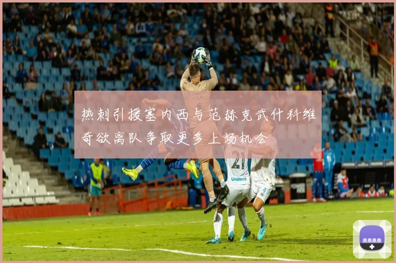 热刺引援塞内西与范赫克武什科维奇欲离队争取更多上场机会